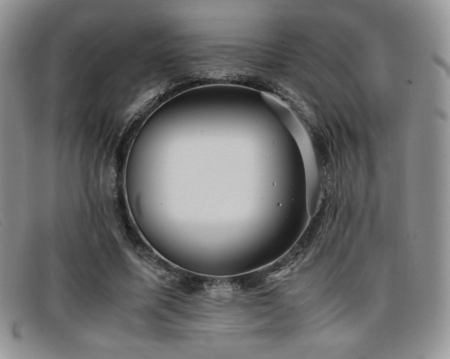 X0000096670587200802051224