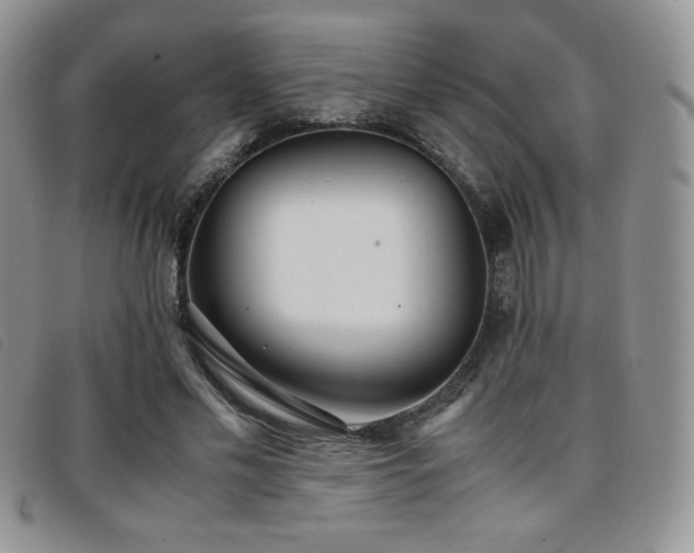 X0000096670589200802051224