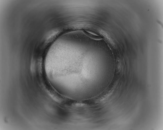 X0000096670590200802051224