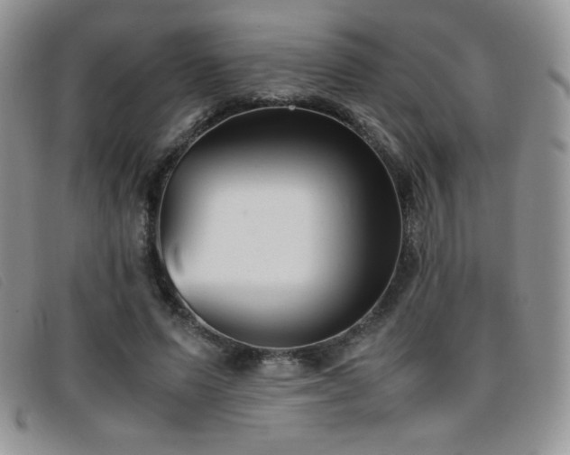 X0000096670591200802051224