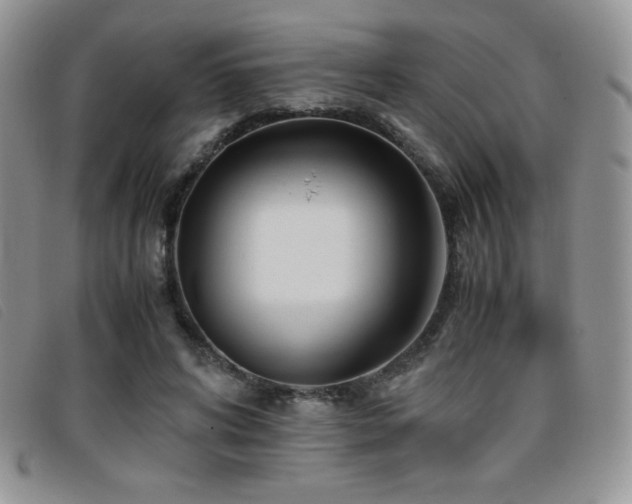 X0000096670592200802051224
