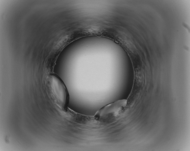 X0000096670593200802051224