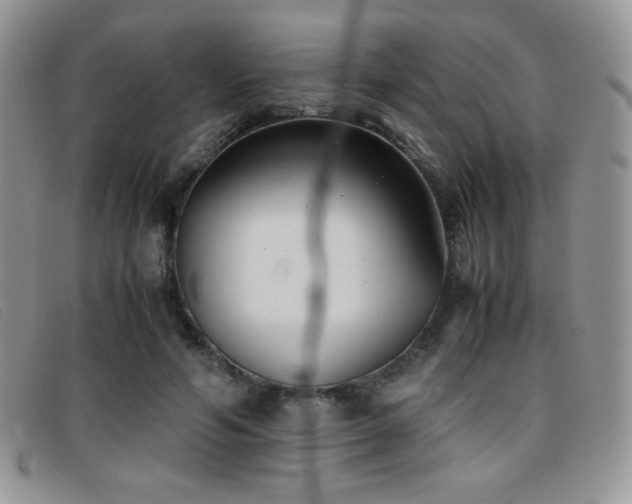 X0000096670594200802051224