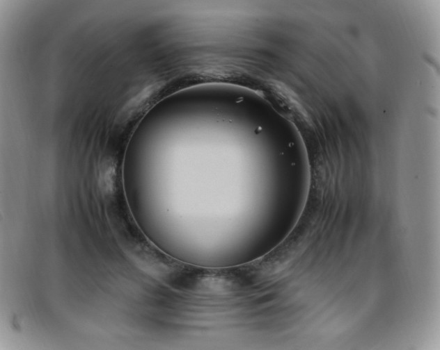 X0000096670596200802051224