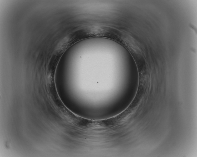 X0000096670597200802051224