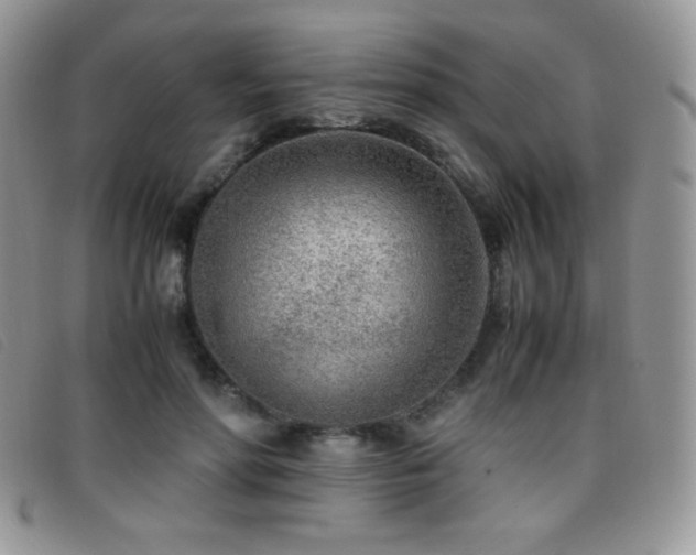 X0000096670598200802051224