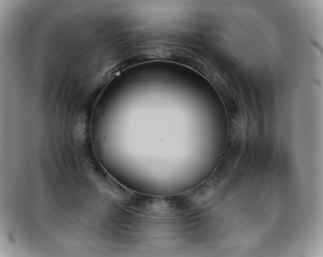 X0000096670600200802051224