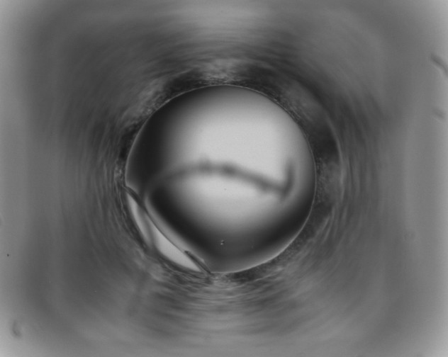 X0000096670601200802051224
