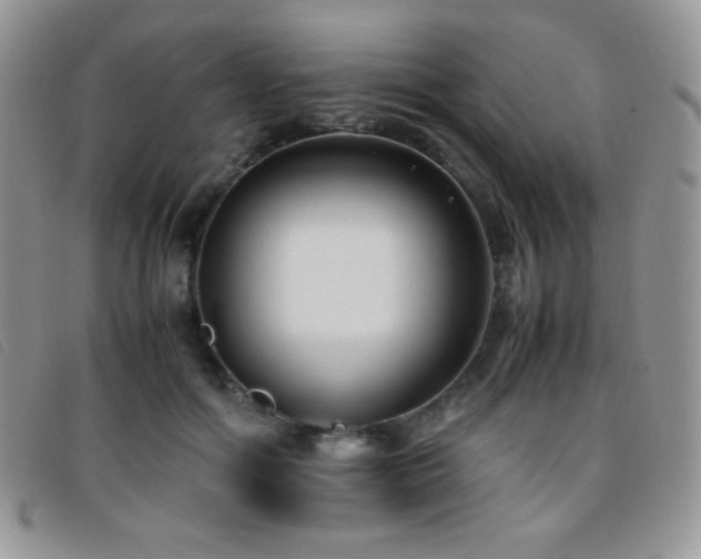X0000096670602200802051224