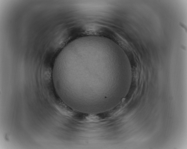 X0000096670603200802051224