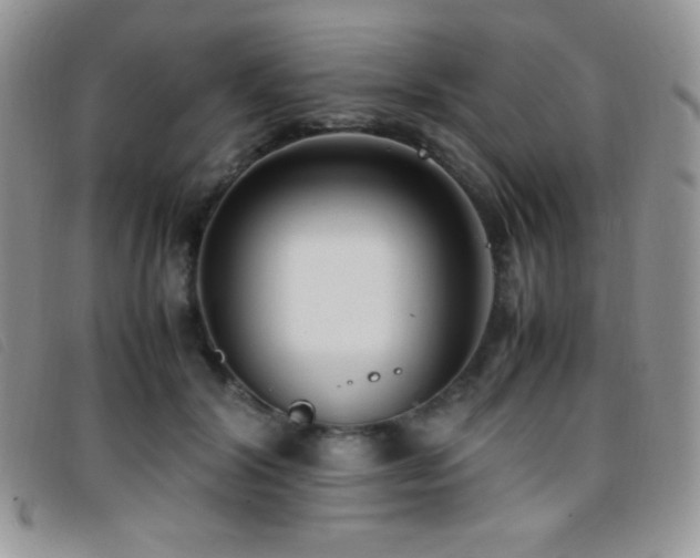 X0000096670604200802051224