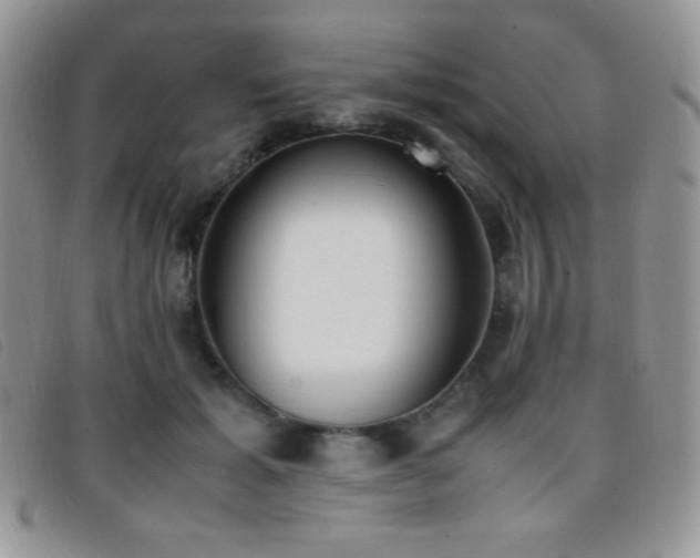 X0000096670605200802051224