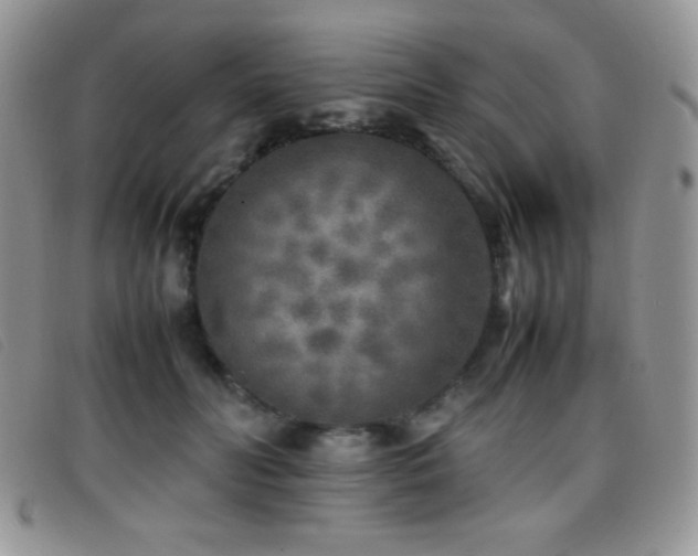 X0000096670606200802051224