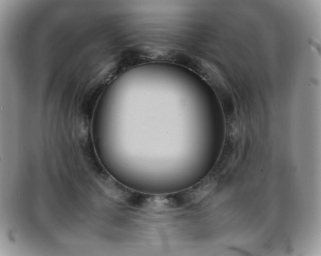 X0000096670607200802051224