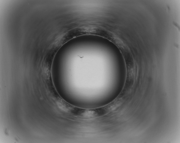 X0000096670609200802051224