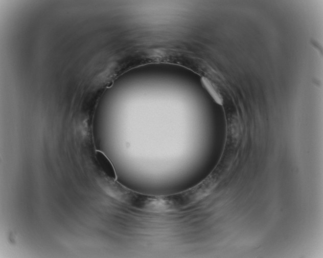 X0000096670611200802051224