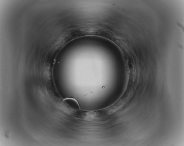 X0000096670612200802051224