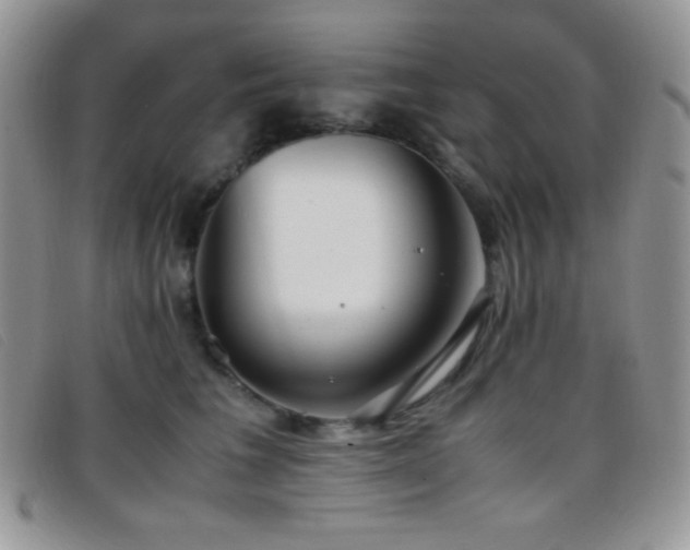 X0000096670613200802051224