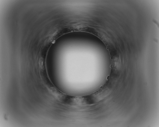 X0000096670615200802051224