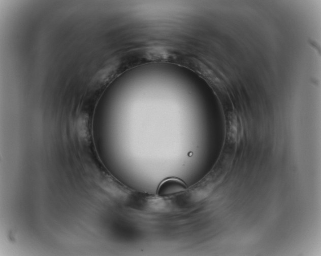 X0000096670616200802051224