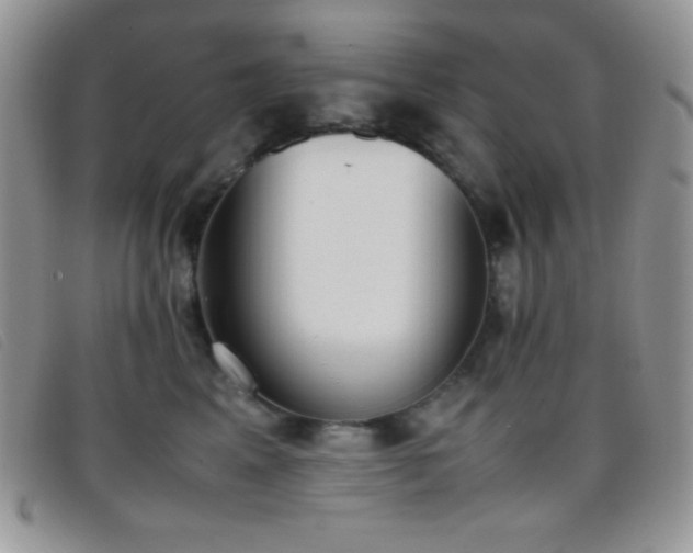 X0000096670617200802051224