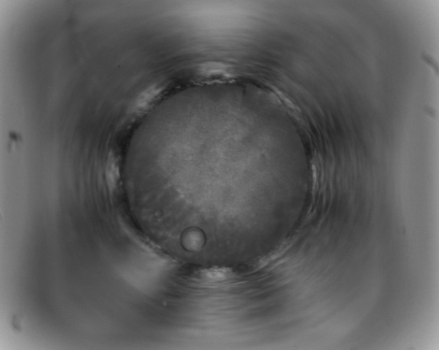 X0000096670618200802051224
