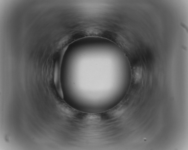 X0000096670619200802051224