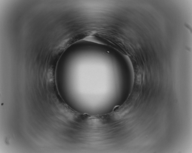 X0000096670620200802051224