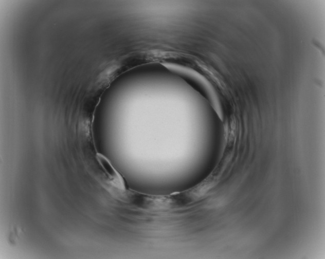 X0000096670621200802051224