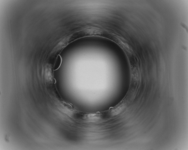 X0000096670622200802051224