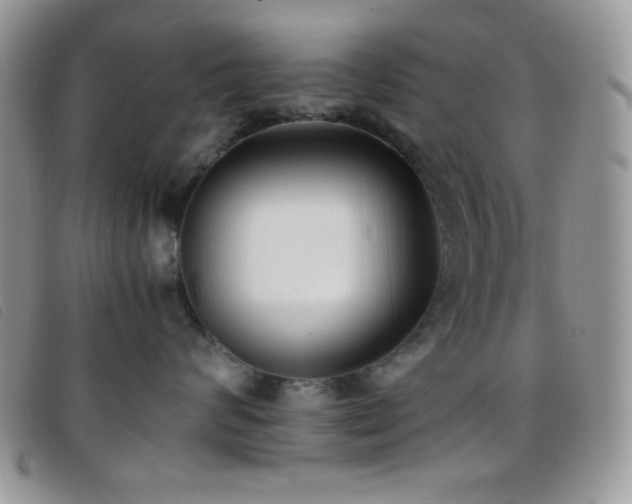 X0000096670624200802051224