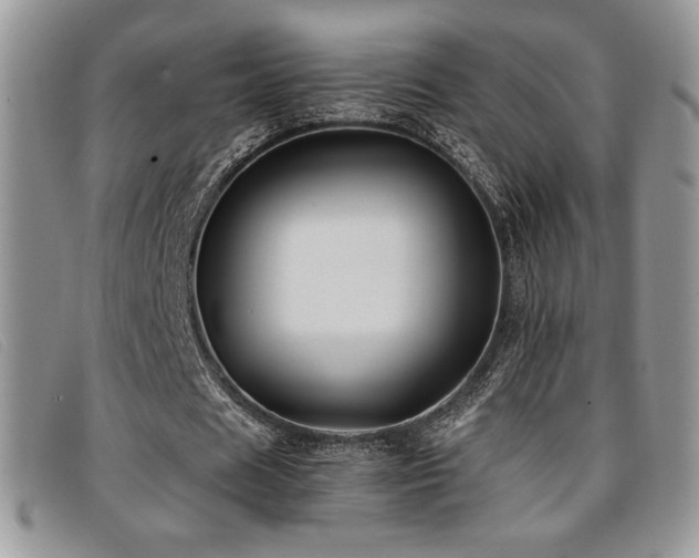 X0000096670625200802051223
