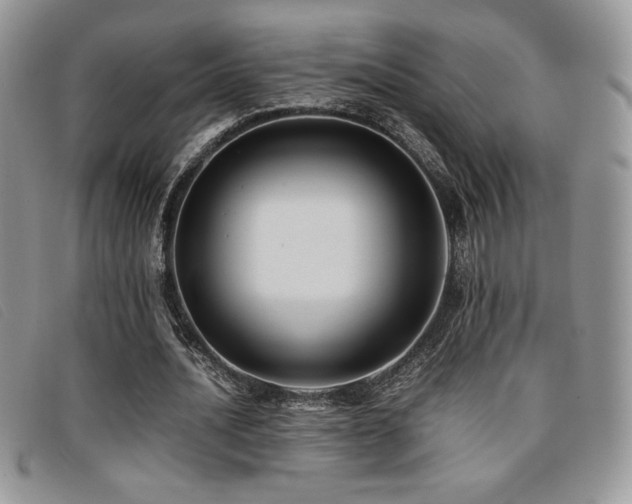 X0000096670628200802051223