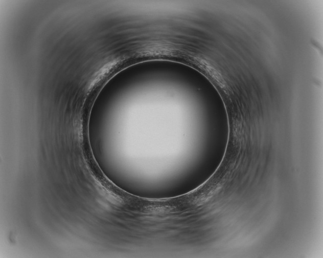 X0000096670629200802051223