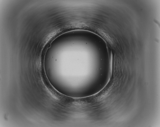 X0000096670630200802051223