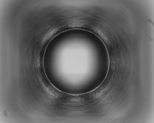 X0000096670631200802051223