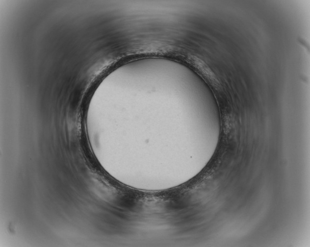 X0000096670632200802051223