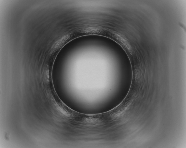 X0000096670633200802051223