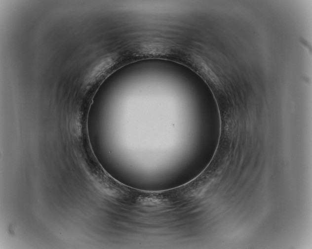 X0000096670635200802051223