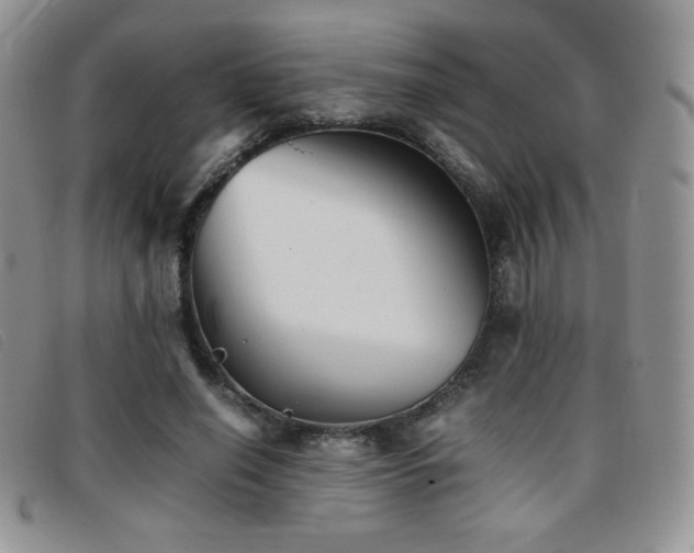 X0000096670638200802051223