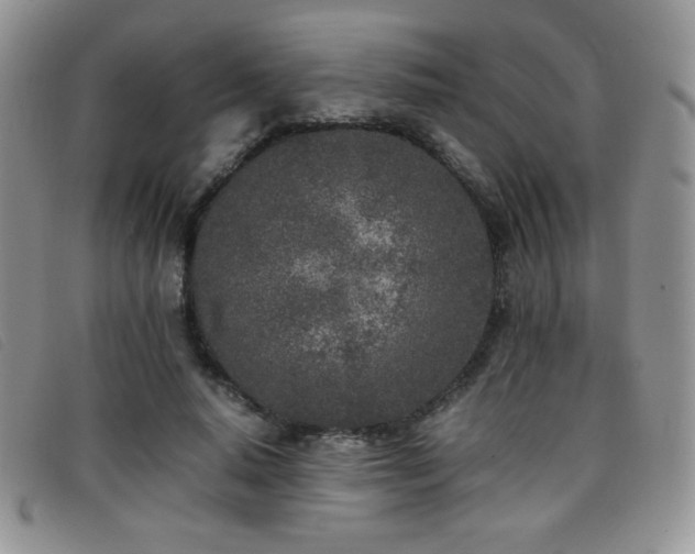 X0000096670640200802051223