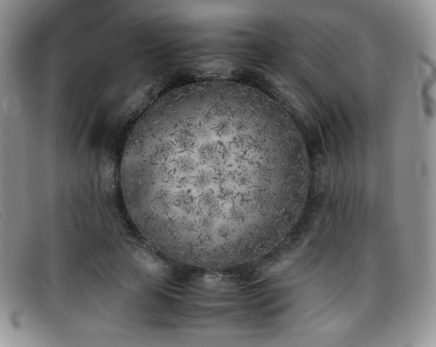 X0000096670641200802051223