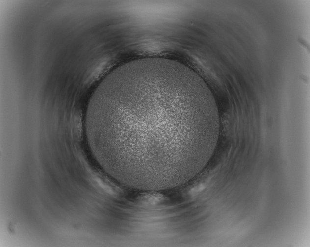 X0000096670642200802051223