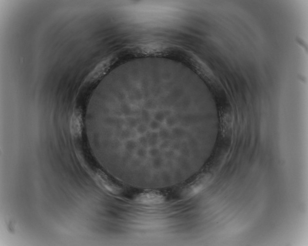 X0000096670644200802051223