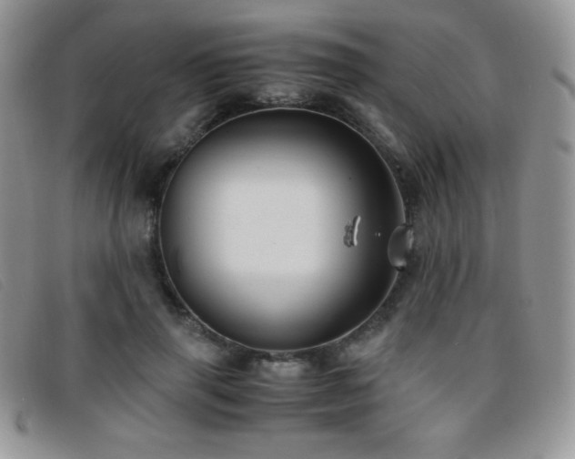 X0000096670645200802051223