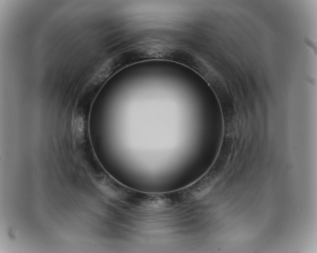 X0000096670646200802051223
