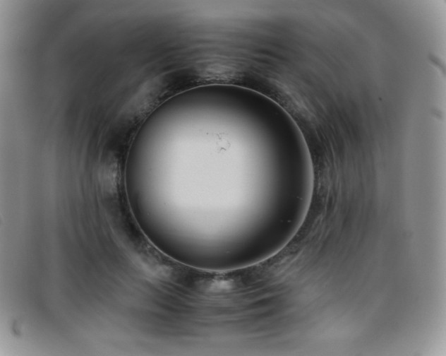 X0000096670647200802051223