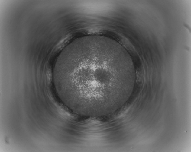 X0000096670648200802051223