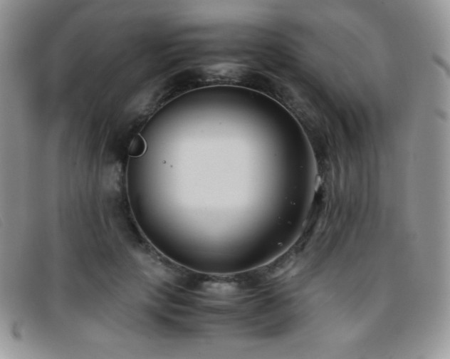 X0000096670649200802051223
