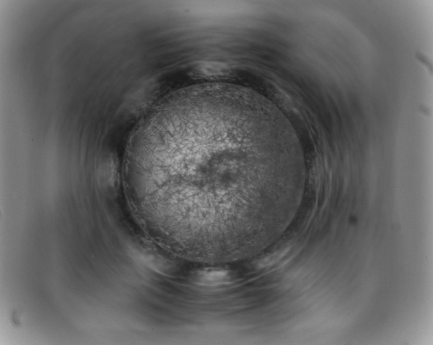 X0000096670651200802051223